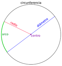 El perímetro de un círculo